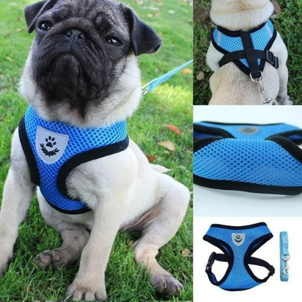 Dog Harness Cat Harness No Pull Comfort Padded Vest with Leash Size M - Picture 3 of 4